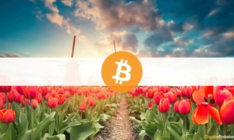 أكثر دول أوروبا فضولاً بشأن العملات المشفرة