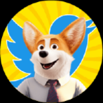 CORGICEO / CORGI CEO