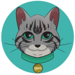 CATSHIRA / Shira Cat