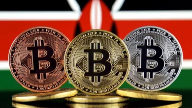 القلق حول اعتماد العملة الرقمية في كينيا