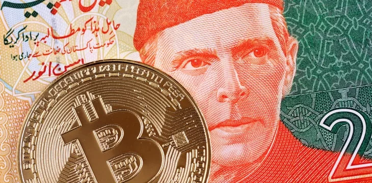 تستعد باكستان لفرض حظر شامل على العملات الرقمية
