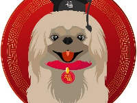 PEK / Pekingese