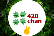 معلومات عن العمله الرقميه 420chan
