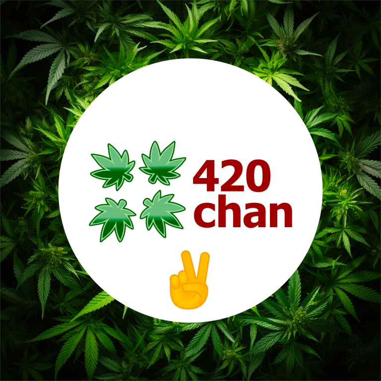 معلومات عن العمله الرقميه 420chan