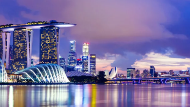 إصدار ترخيص مؤقت لتقديم خدمات العملات الرقمية في سنغافورة