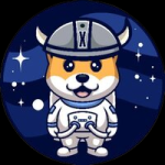 معلومات عن العمله الرقميه XFLOKI