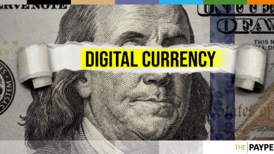 أطلقت Ripple تجربة العملة الرقمية للبنك المركزي مع جمهورية بالاو