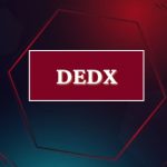 معلومات عن العمله الرقميه DEDX