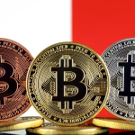 تتشاور مالطا بشأن قواعد الأصول الرقمية المنقحة