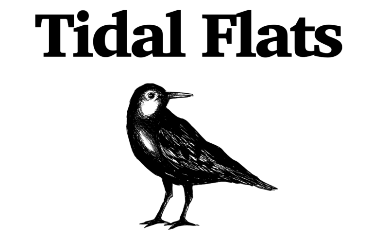 TIDE / Tidalflats