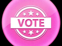 PIT / Pink Vote