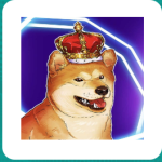 معلومات عن العمله الرقميه BNBdoge
