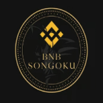 معلومات عن العمله الرقميه BNBsongoku