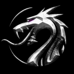 معلومات عن العمله الرقميه DRAGON