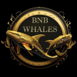معلومات عن العمله الرقميه BNB Whales