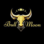 معلومات عن العمله الرقميه Bull Moon
