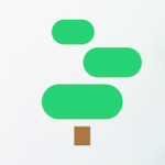 معلومات عن العمله الرقميه SEED / Bonsai3
