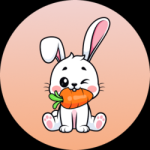 معلومات عن العمله الرقميه RBIT / Rabbit INU