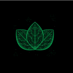 معلومات عن العمله الرقميه VRD / Viridis Network