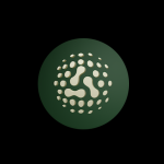 معلومات عن العمله الرقميه AKI / Aki Network