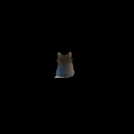 معلومات عن العمله الرقميه KITTY / Kitty AI