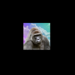 معلومات عن العمله الرقميه HARAMBE / Harambe on Solana