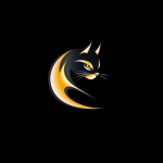 معلومات عن العمله الرقميه Nekoin