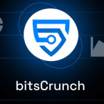 معلومات عن العمله الرقميه BCUT / bitsCrunch