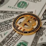 Munchables يسترد جميع الأموال من المستغل، عملية استرداد قيد التقدم.