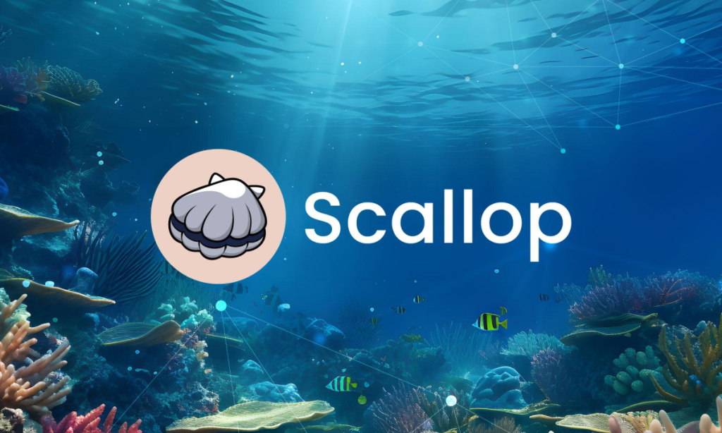 SCA / Scallop