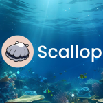 SCA / Scallop