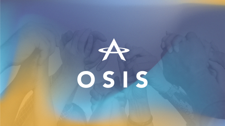 معلومات عن العمله الرقميه OSIS