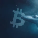 ما هي حيتان البيتكوين وكيفية اكتشافها؟