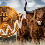توقعات ارتفاع سعر البيتكوين إلى 75,000 دولار مع صعود صناديق بلاك روك وتفاؤل السوق.