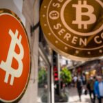 تدفقات صناديق ETFs للبيتكوين تتواصل والسعر يتراجع دون 67 ألف دولار