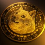 doge header