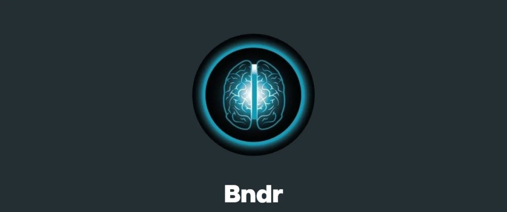 SWIPES / BNDR