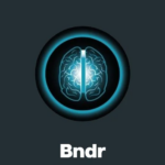 SWIPES / BNDR