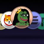 ROXY / ROXY FROG