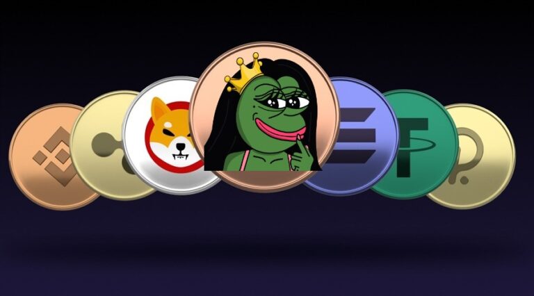 ROXY / ROXY FROG